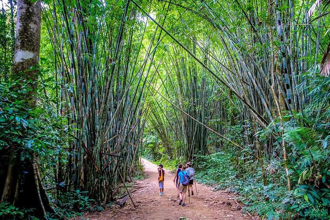 1 Day Khao Sok Jungle Safari and 2 Days Cheow Lan Lake Explorer from Krabi - Khao Sok National Park: walking, paddling, and watching carefully