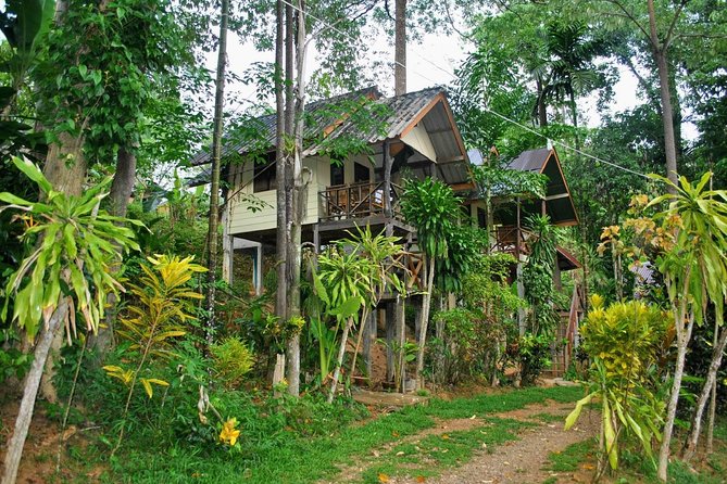 1 Day Khao Sok Jungle Safari and 2 Days Cheow Lan Lake Explorer from Krabi - Sleeping in the jungle bungalow