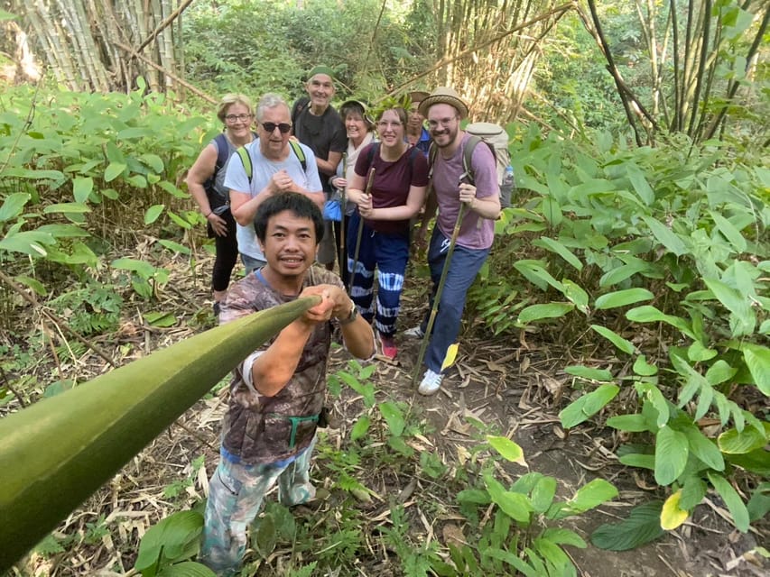 1 Day trekking : Chiang Rai popular activity,Fun in Nature. - What this Chiang Rai trek is really about