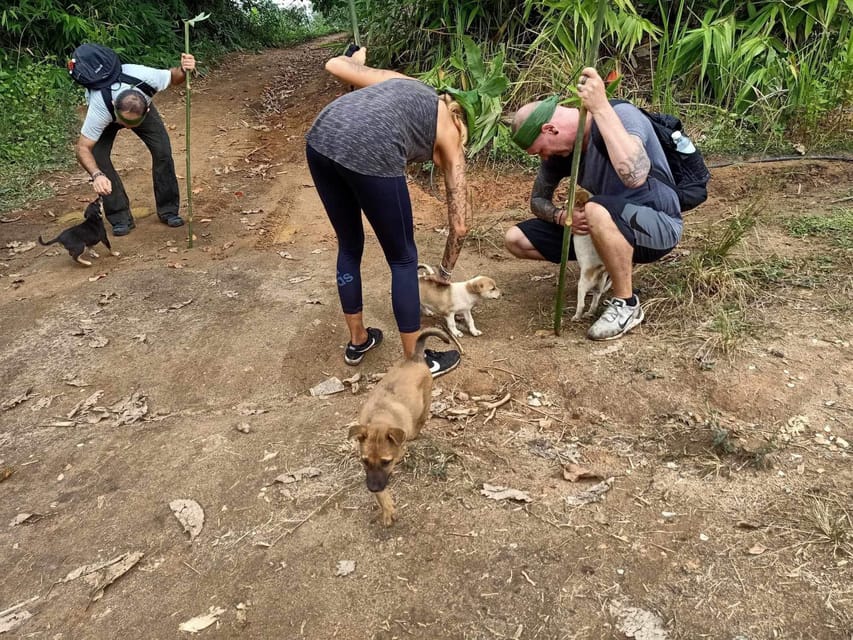 1 Day trekking : Chiang Rai popular activity,Fun in Nature. - Lisu village and lunch over a wood fire