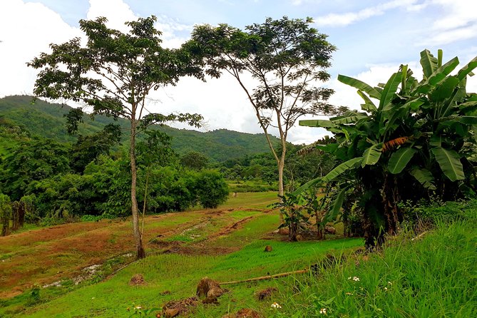 1 Day Trekking Group Tour With Bamboo Cooking / Chiang Rai - Huay Kaew Waterfall and Hot Spring Time