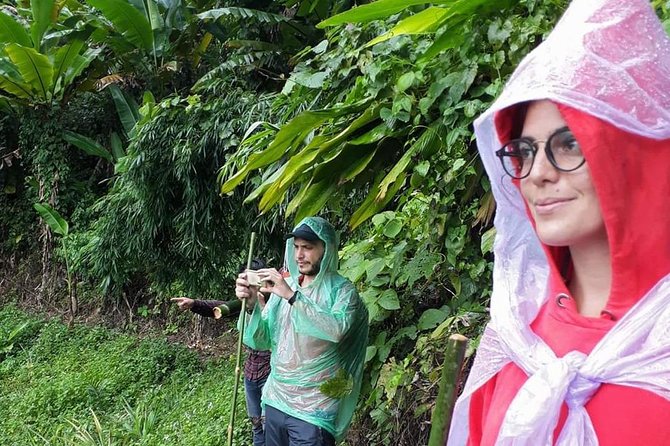 1 Day Trekking Group Tour With Bamboo Cooking / Chiang Rai - How Hard Is the 15-Kilometer Route?