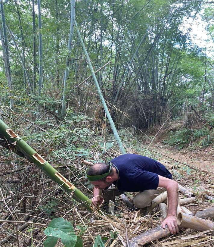 1 Day Trekking in Chiang Rai forest (walk only) - What the $57 price buys you