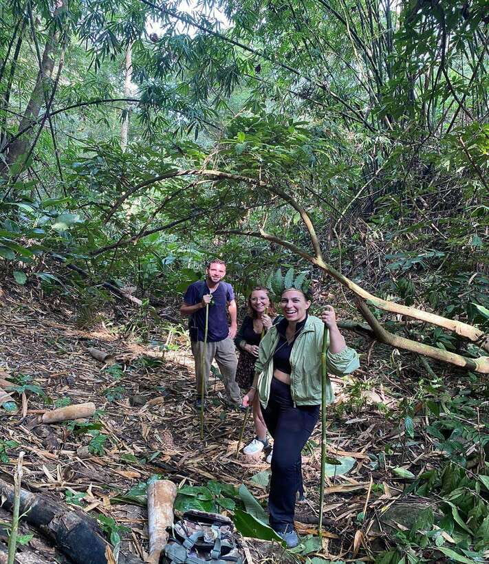 1 Day Trekking in Chiang Rai forest (walk only) - Bamboo cooking is the star attraction
