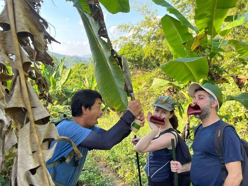 1 Day Trekking in Chiang Rai forest (walk only) - The 40-minute ride from Chiang Rai