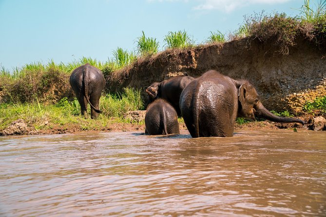11 Day Tuk Tuk Adventure in Northern Thailand - Why three wheels change northern Thailand