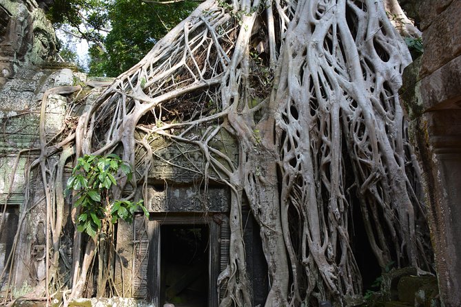 2-Day Angkor Wat Tour from Bangkok - Guides, drivers, and the value of private touring