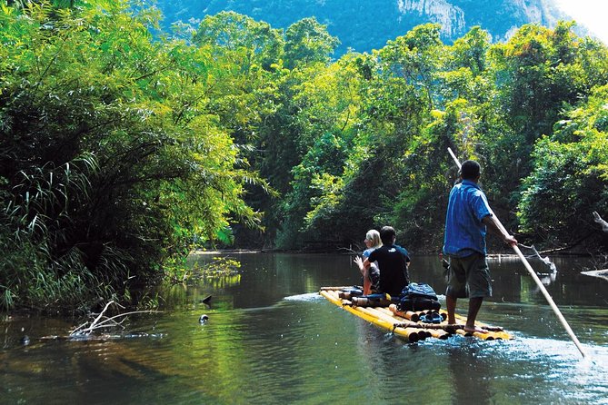 2-Day Khao Sok Jungle Safari from Krabi - Lunch, check-in, and the jungle bungalow