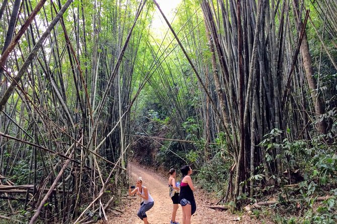 2-Day Khao Sok Jungle Safari from Krabi - The three-hour rainforest hike