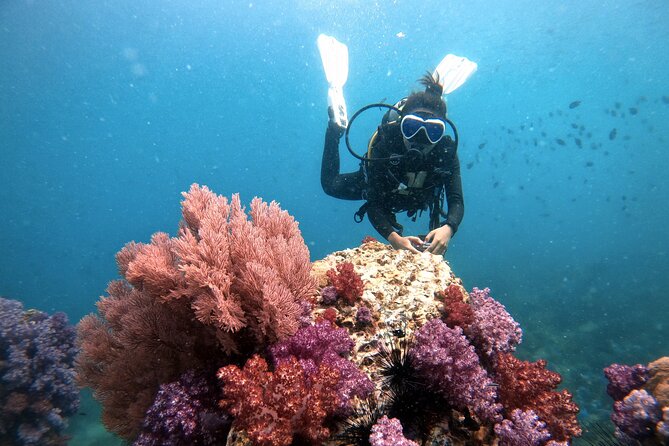 2 Fun Divers for Certified Divers in Thailand - Meeting at Sunrise Beach and preparing your gear