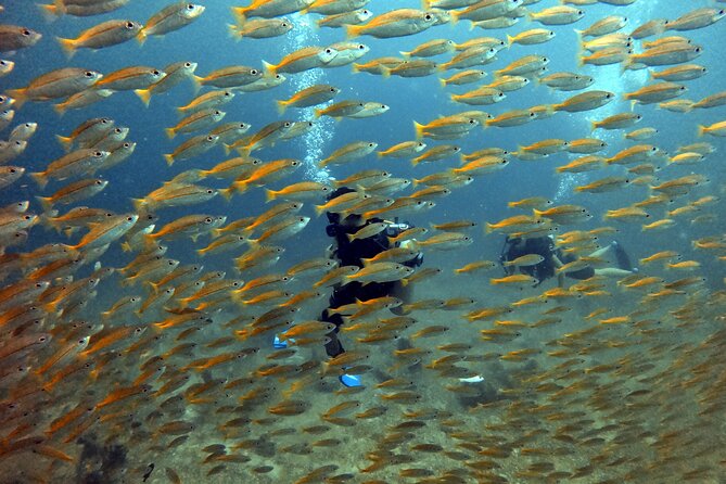 2 Fun Divers for Certified Divers in Thailand - The boat ride from Koh Lipe to Tarutao Marine Park