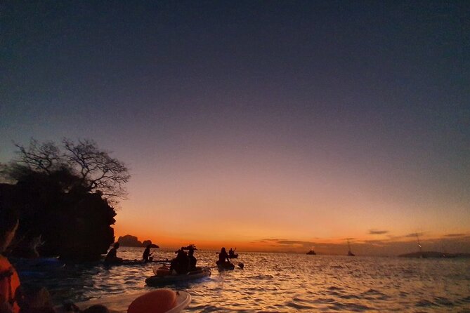 2-Hour Clear Kayak Illuminated Night Tour in Krabi - When the LED lights take over