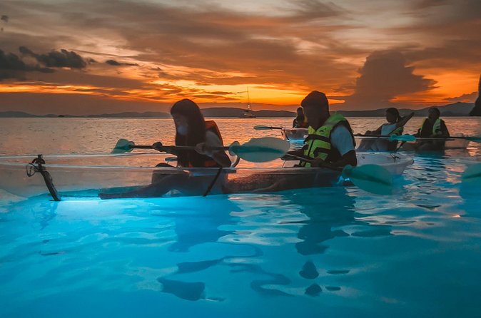 2-Hour Clear Kayak Illuminated Night Tour in Krabi - Searching for bioluminescent plankton