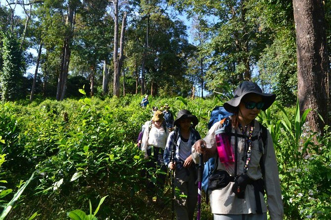 3-Day Chiang Dao Mountain Trek - What the homestays are really like