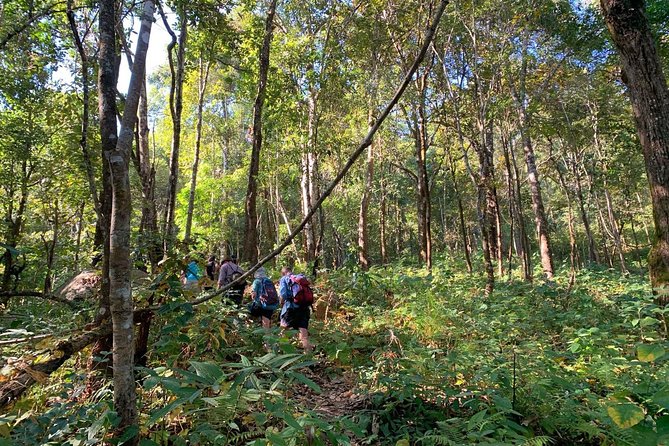 3-Day Chiang Dao Mountain Trek - Is $256 a good price?