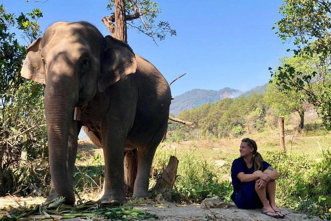 3-in-1: Doi Inthanon Tour, Elephant Sanctuary, and Trekking Trail - Pha Dok Siew Waterfall and Ban Mae Klang Luang