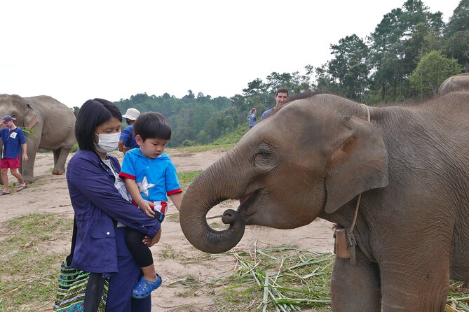 3-in-1: Doi Inthanon Tour, Elephant Sanctuary, and Trekking Trail - Doi Inthanon at 2,565 Meters