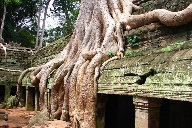 4 Days Expedition From Bangkok to Angkor Wat - The real shape of the Bangkok to Siem Reap journey