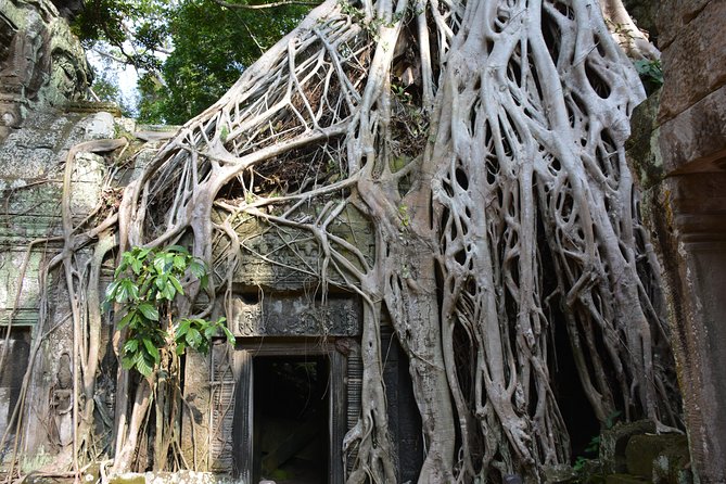 4 Days Expedition From Bangkok to Angkor Wat - Why the guide can make or break Angkor
