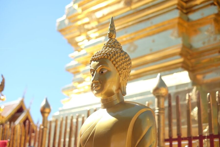 4-Hour Doi Suthep & Hmong Hill Tribe Village from Chiang Mai - The winding ride through Doi Suthep-Pui National Park