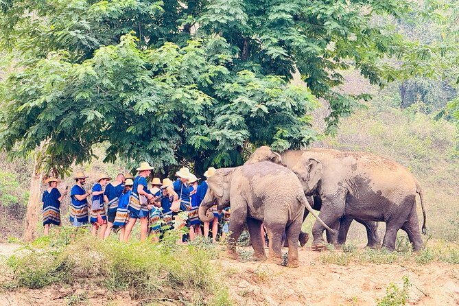 4 in 1 Elephants Long Neck Rafting and Sticky Waterfall Tour - Karen Long Neck Village: a cultural stop with care needed