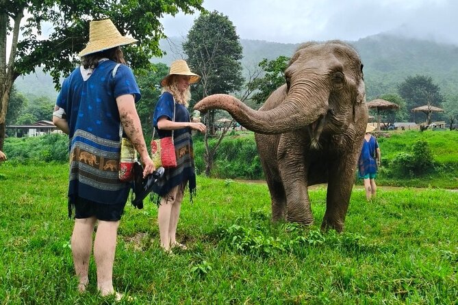 4 in 1 Elephants Long Neck Rafting and Sticky Waterfall Tour - Pick white water or bamboo rafting