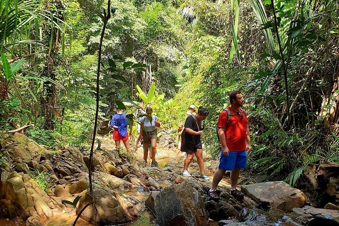 4-Waters Eco-Adventure Trip from Phuket Including Lunch - Khao Phra Thaeo’s rainforest and Ton Prai Waterfall