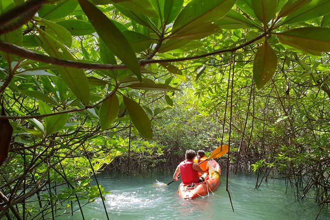 4-Waters Eco-Adventure Trip from Phuket Including Lunch - Guides, supplies, and the small-group advantage