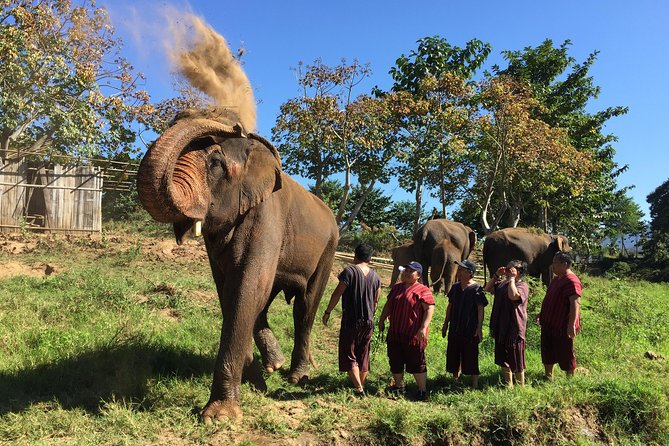 5 Day Tuk Tuk Adventure in Chiang Mai - with driver - Day 2: Mae Sapok, elephants, and the best sort of busy day