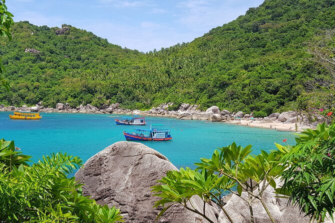 5 Islands Full-Day Tour Around Koh Tao and Koh Nangyuan - Hin Wong Bay is best for underwater structure