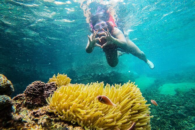 5 Islands Full-Day Tour Around Koh Tao and Koh Nangyuan - Weather decides more than the brochure does