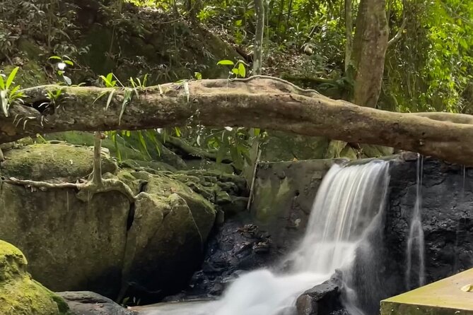 6 Hours Off-Road 4x4 Hidden Gem Adventure 1 - 8 People - Mae Nam Hills, viewpoints, and Tree Bridge Coffee