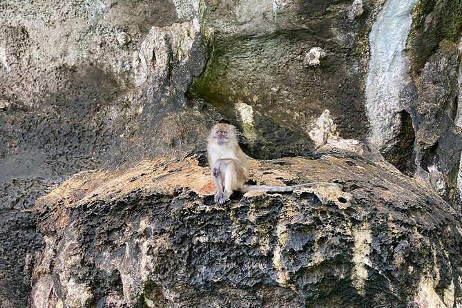 6 Hours Private Tour Around Phi Phi Islands From Phi Phi - Wang Long Bay and the final swim