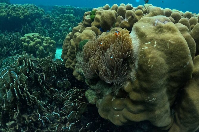 A full Day Haa & Rok islands from Koh Lanta( By Speed Boat) - The speedboat from Koh Lanta to Koh Rok