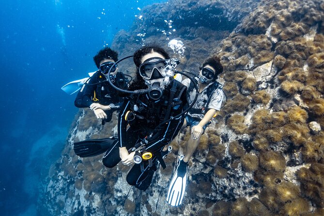 Advanced Adventurer - 2 days ( Advanced Open Water) - What the two-day SSI course actually gives you