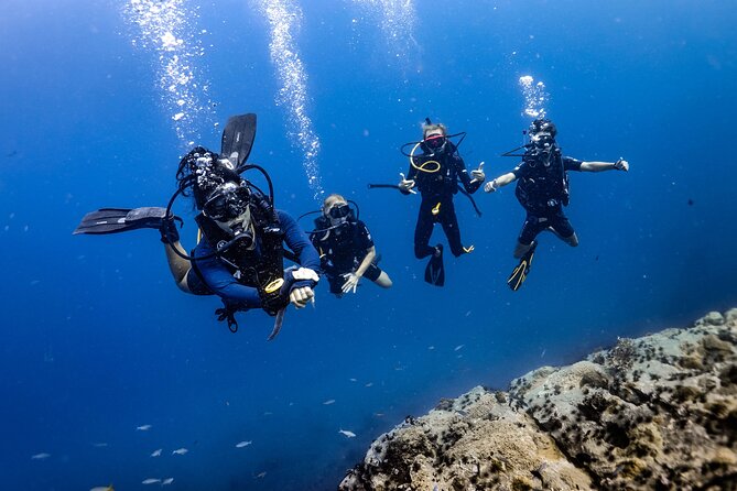 Advanced Adventurer - 2 days ( Advanced Open Water) - Night conditions when the marine world changes