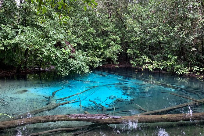 All day Krabi Jungle Tour (Hot Spring Water, Emerald Pool, Tiger Cave Temple) - Tiger Cave Temple and the 1,260-step challenge