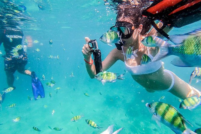 All-in Phi Phi, Maiton, MayaBay, Khai, Bamboo islands Tour - Starting at the pier, with an early transfer