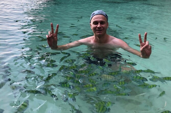 All-in Phi Phi, Maiton, MayaBay, Khai, Bamboo islands Tour - Phi Phi Don lunch: good food, limited free time