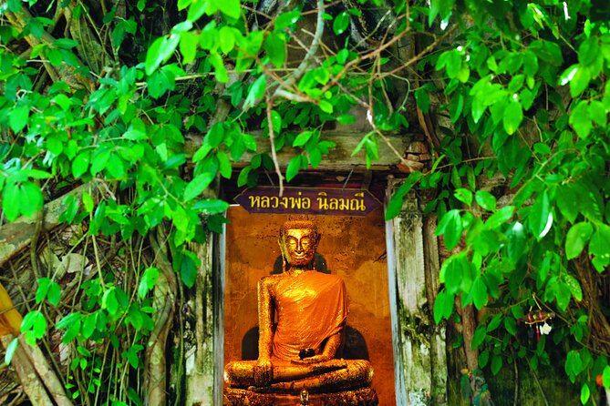 Amphawa Boat Ride & Railway Market: Multi-Lang Private Tour - The Maeklong Railway Market train trick