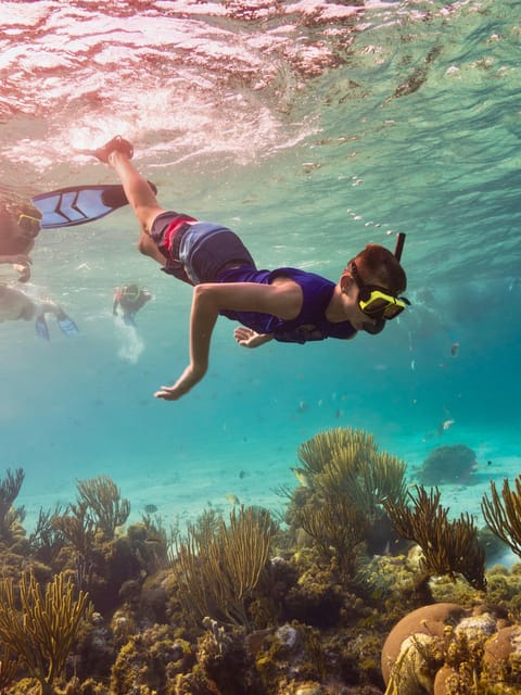 Ao Nang: 4 Islands Day Tour by Speedboat or Longtail Boat - Snorkeling, swimming, and comfort on the water