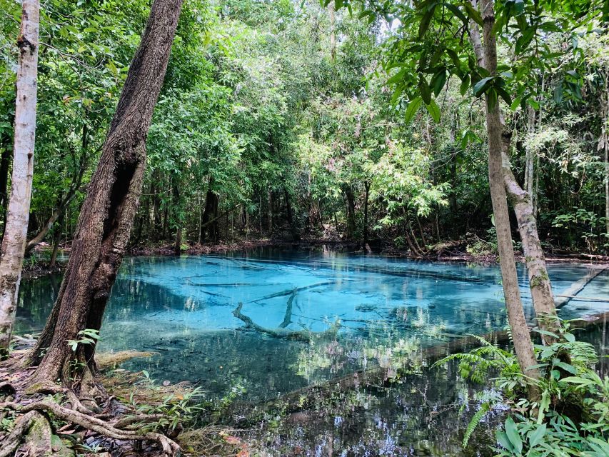 Ao Nang: Hot Spring, Emerald Pool & Tiger Cave Temple Tour - Who should book this active day
