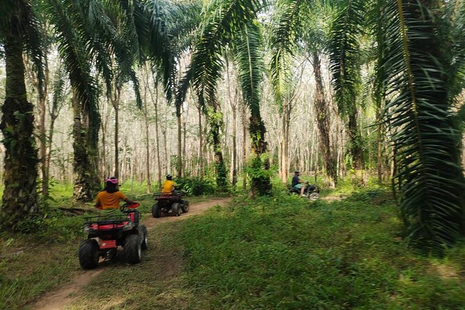 ATV Jungle Adventure in Krabi with Roundtrip Transfer - Why this ATV ride works well in Krabi