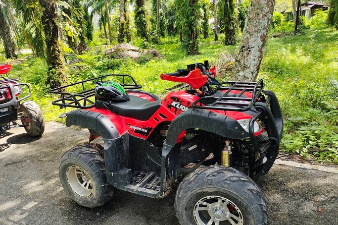 ATV Jungle Adventure in Krabi with Roundtrip Transfer - Is $39 good value for one hour?