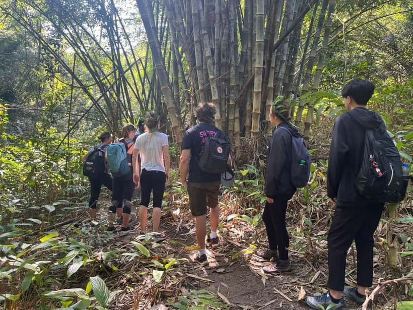 Authentic trek only walk in Chiang Rai jungle - Tea plantations and changing views