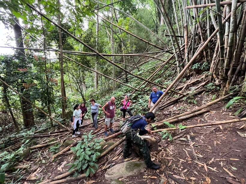 Authentic trek only walk in Chiang Rai jungle - The bamboo lunch is more than a meal
