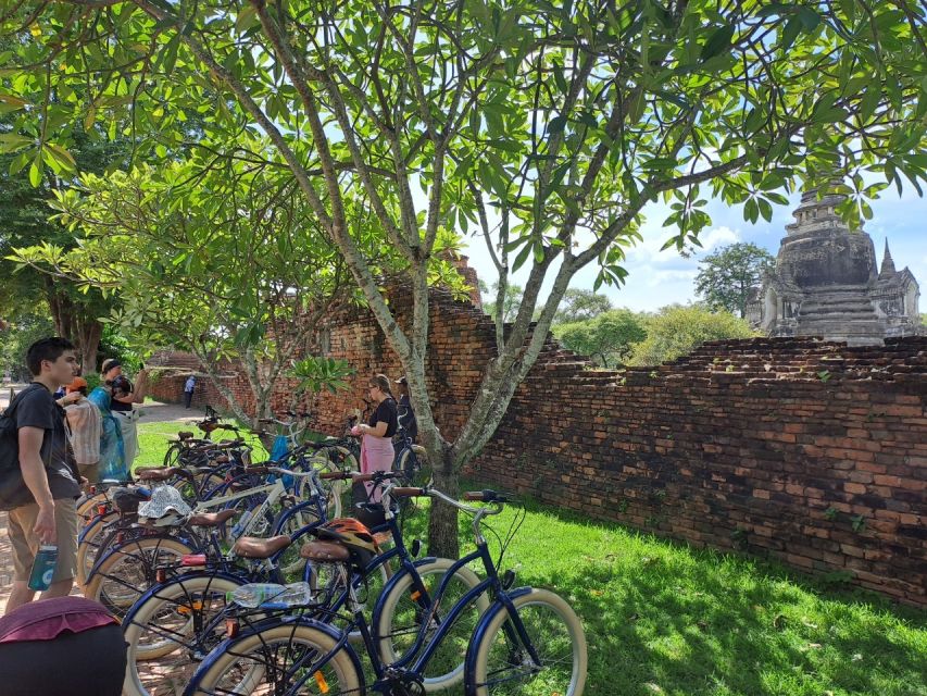 Ayutthaya City and Historical Park Bike Tour - Heat, timing, and how hard the cycling feels
