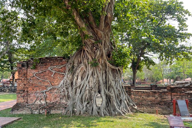 Ayutthaya Historical Old Capital day Tour from Bangkok - Market lunch gives the schedule a local pause
