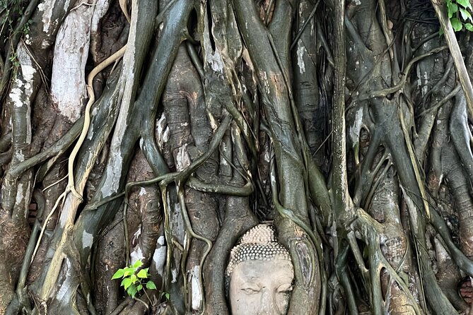 Ayutthaya’s Hidden Gems: Small Group Tour with Car & Local Guide - Pond-side lunch at Ayutthaya Retreat