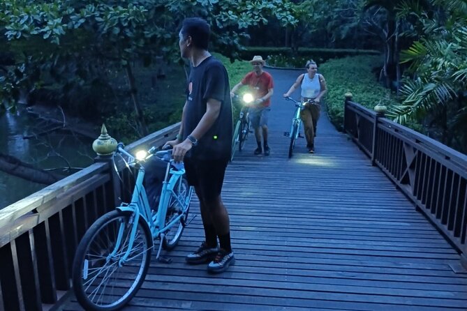Bamboo Bicycle Tour in twilight: watch dancing Fireflies in Bangkok - Searching for fireflies by boat
